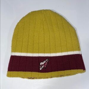 FSU Winter Hat